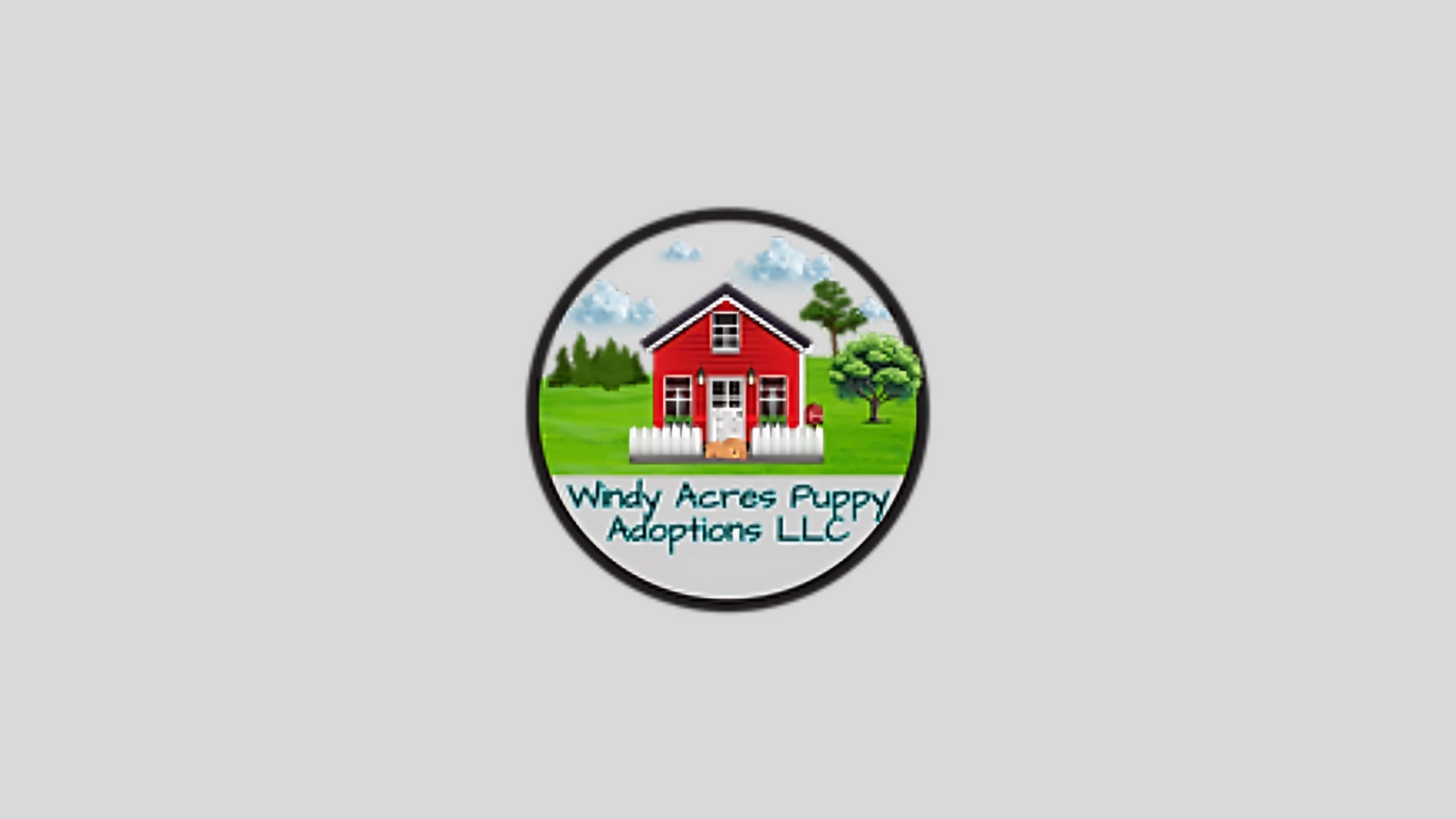 Mini Australian Shepherd Puppies For Sale